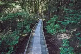 Mundy Park