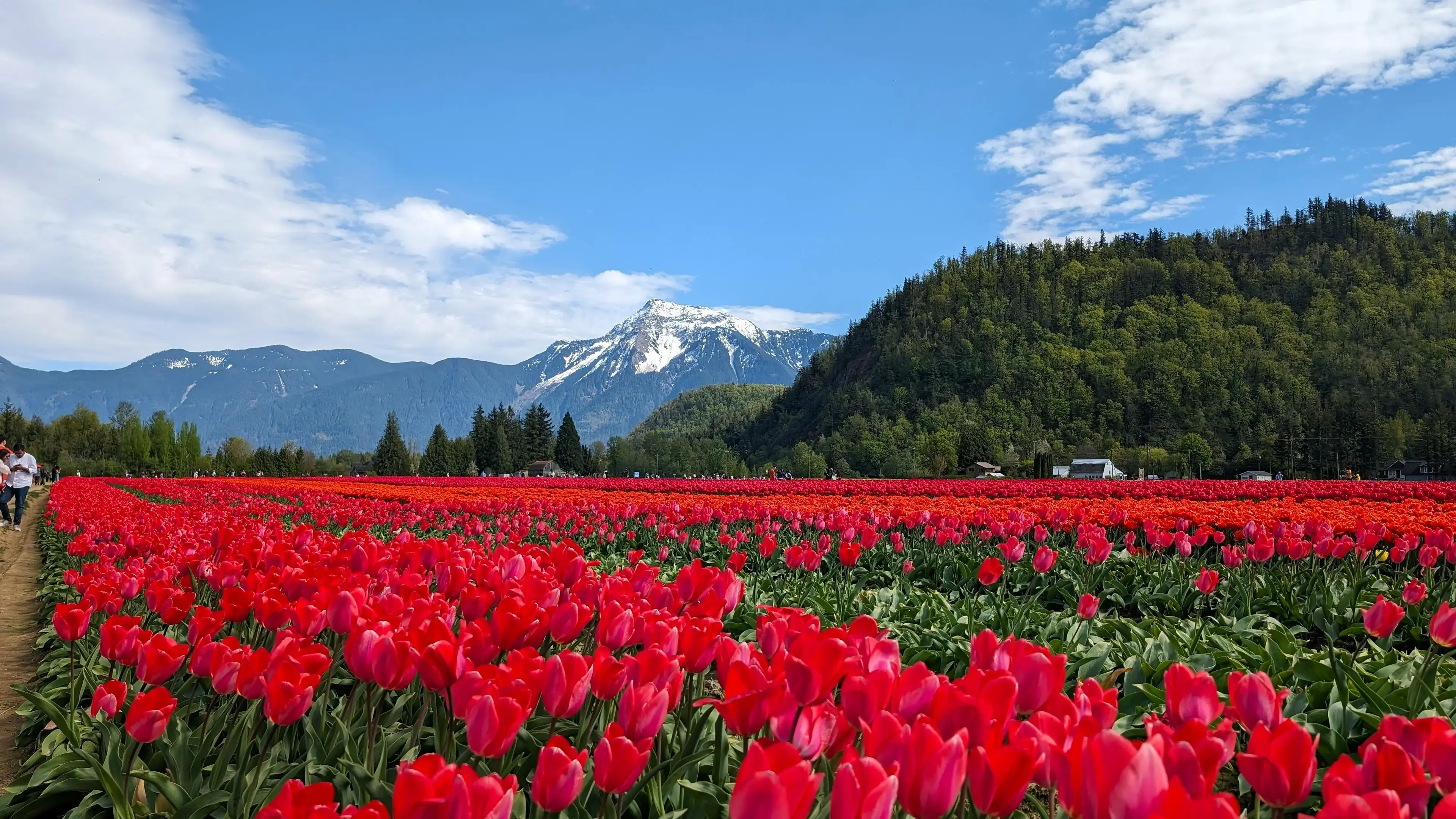 Fraser Valley