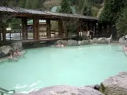 Harrison Hot Springs